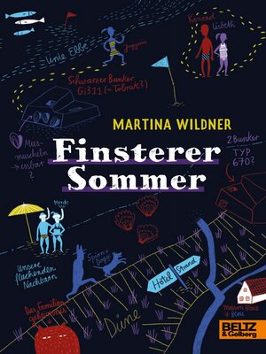 cover image of Finsterer Sommer